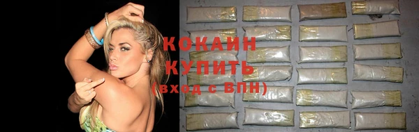 прущая мука Богородицк