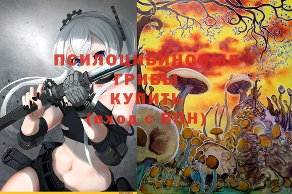 бутик Бородино