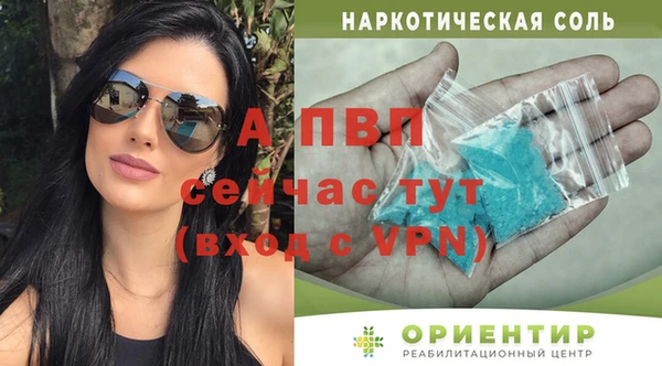 стафф Белокуриха