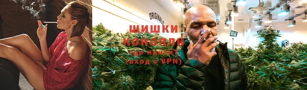 твердый Богданович