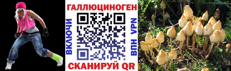 Псилоцибиновые грибы мухоморы  продажа наркотиков  Горячий Ключ 